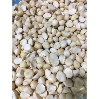 [Giá dùng thử]🌿Nhân hạt nữ hoàng Macca Tây Nguyên 🌿[FREESHIP]