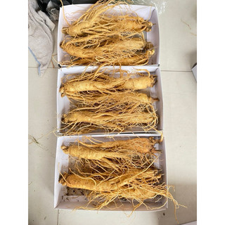 Sâm tươi hàn quốc