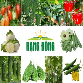 Hạt giống rau ăn quả các loại dễ trồng Rạng Đông (Rado)
