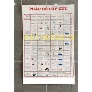 Phác đồ cấp cứu