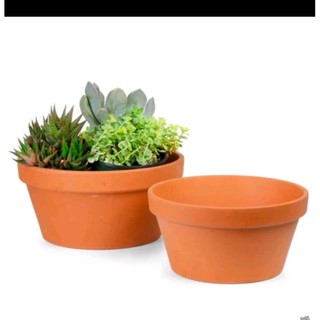 Chậu đất nung Trồng Sen đá xương rồng cao 9 miệng 20 cm