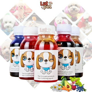 Thuốc nhuộm lông cho chó mèo - dung dịch nhuộm lông cho thú cưng - lutpet