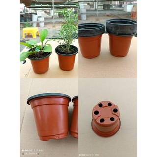 Combo chậu nhựa nhỏ trồng, ươm cây giống kích thước 10*10cm