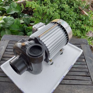  Máy bơm nước Tân Hoàn Cầu 1 ngựa  1hp  VinaPump trục - phốt bằng INOX lưu lượng lớn đến 28m3 h hút xã 60 49 chính hãng 