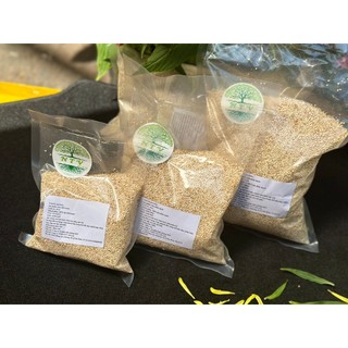 HẠT DIÊM MẠCH - QUINOA