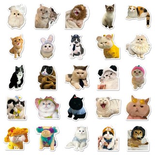 Sticker hình con mèo dễ thương