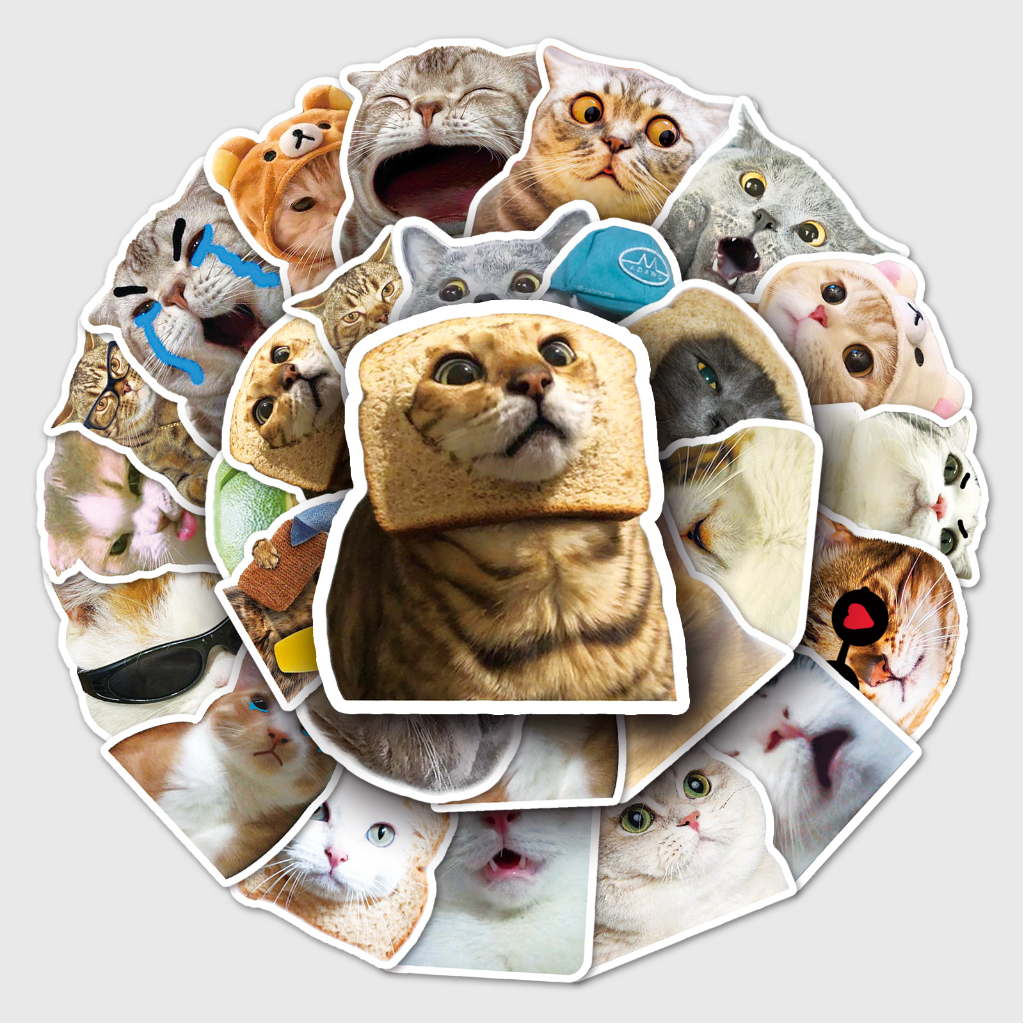 Sticker thú cưng siêu đáng yêu, dễ thương