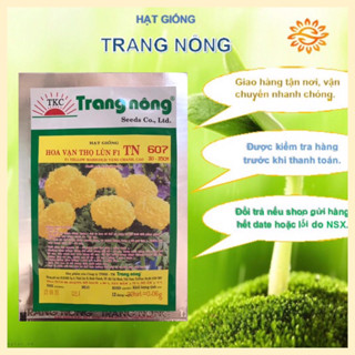 Hạt giống hoa vạn thọ lùn F1 màu vàng chanh, cam gói 20 hạt