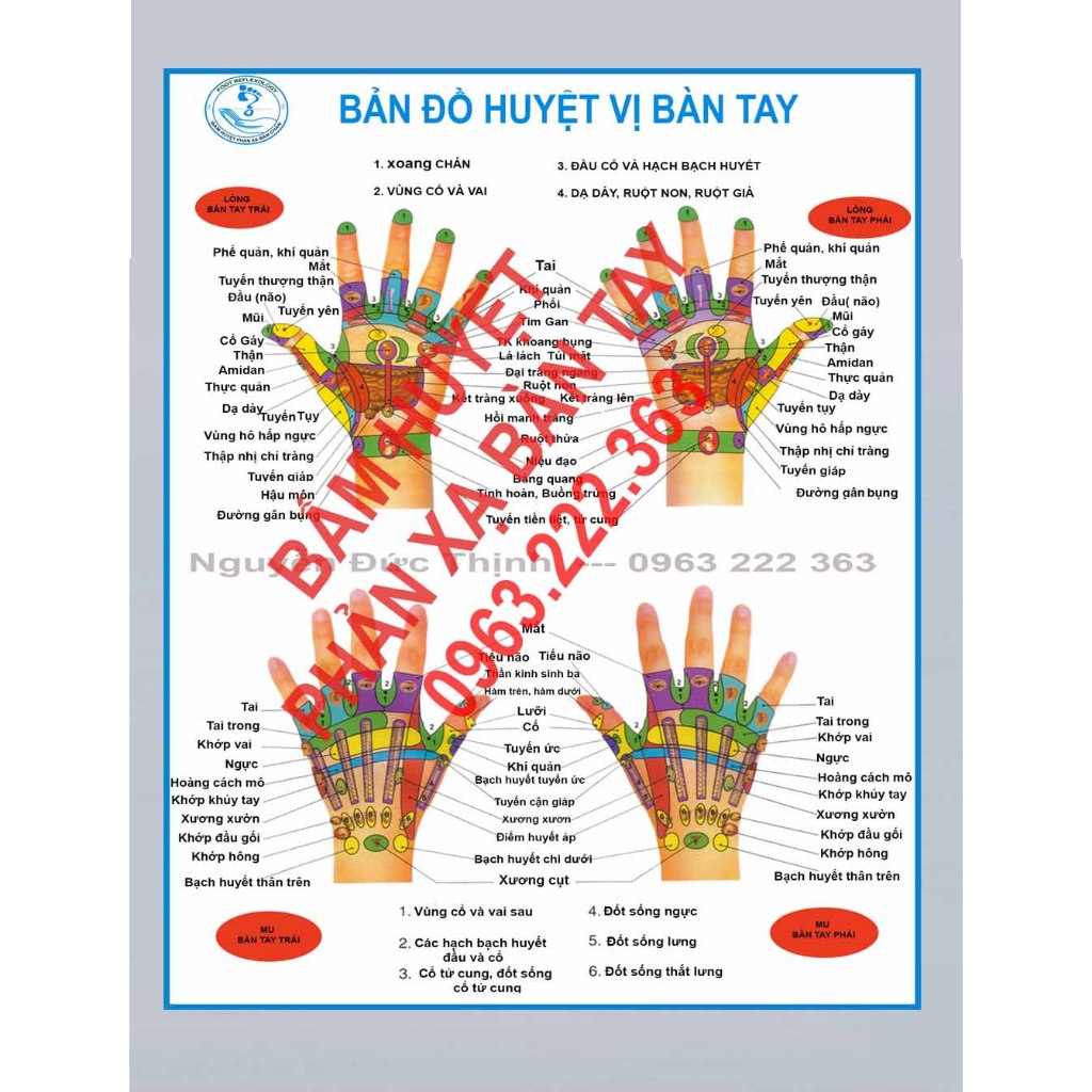 Tranh bản đồ huyệt vị bàn tay, huyệt phản xạ cơ thể người 80x100cm
