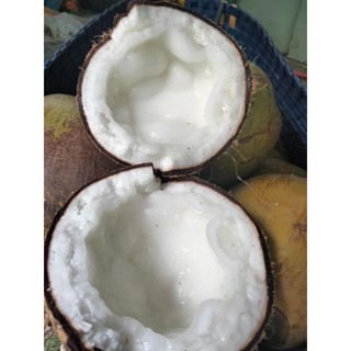MỨT DỪA SÁP ĐƯỜNG PHÈN 280k/500g