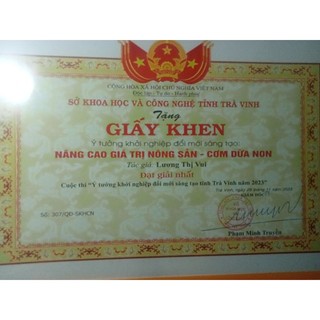 MỨT DỪA SÁP ĐƯỜNG PHÈN 280k/500g