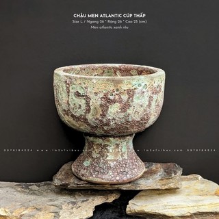 Chậu trồng cây size lớn đa dạng kiểu dáng - 1m2 of vibes