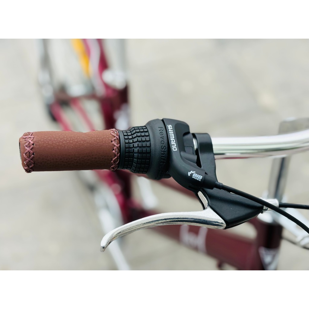 Xe đạp mini VICKY SKY khung nhôm bánh 26 (Tặng giỏ xe + giá đỡ giỏ) giá ...