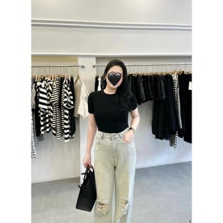 Áo thun hàn quốc chất siêu đẹp 5 màu