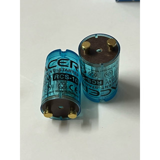 Chuột bóng đèn thái lan - racer