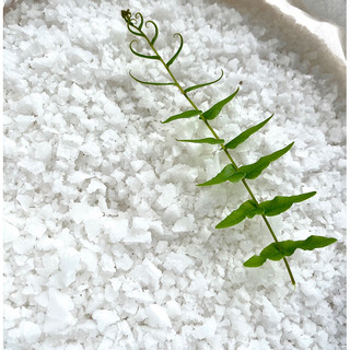 Muối hột - Dùng ấp trứng artemia - Xử lý nấm cho cá