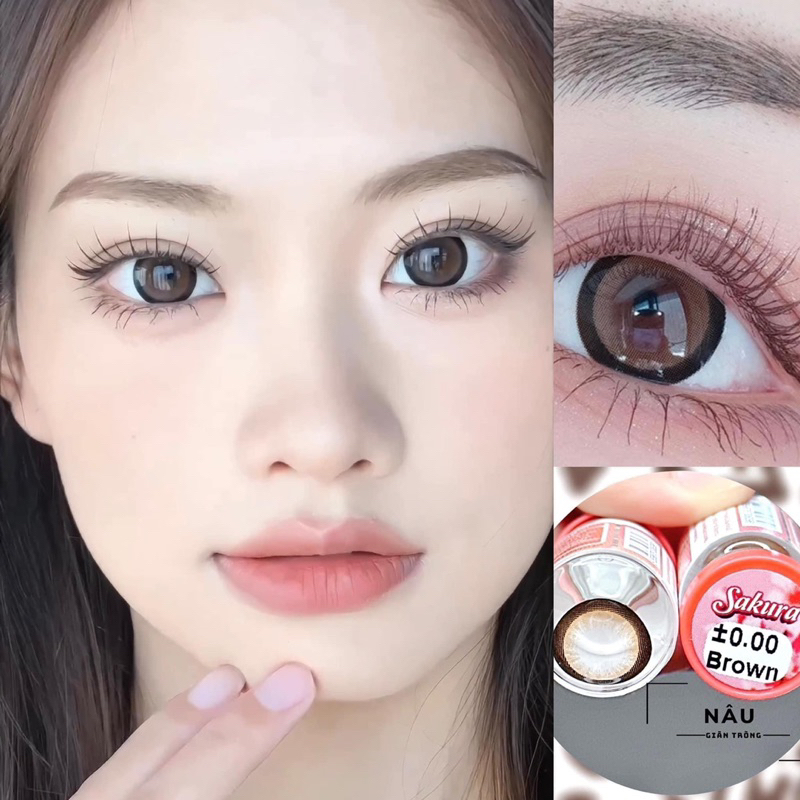 LENS Kính Áp Tròng sakura brown