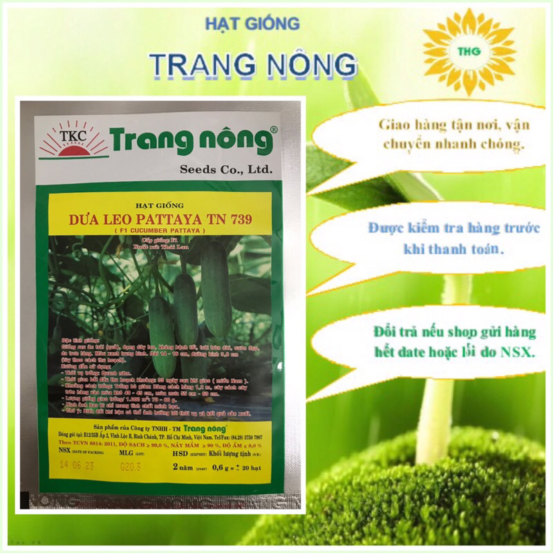 Hạt giống dưa leo chịu nhiệt (dưa chuột) Trang Nông 20 hạt