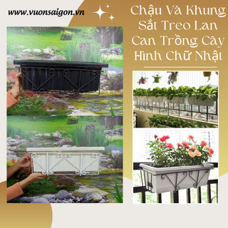 Combo chậu và khung sắt treo lan can trồng rau, hoa bền đẹp, giá rẻ, dễ chăm sóc (Vườn Sài Gòn)