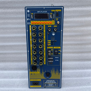  Mạch loa kéo DSP20 V20X  KT14,5x35  Có reverb echo delay chống hú mẫu đứng có ăngten 