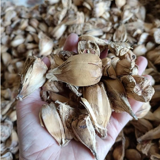 1kg qủa dứa dại dứa rừng khô sạch