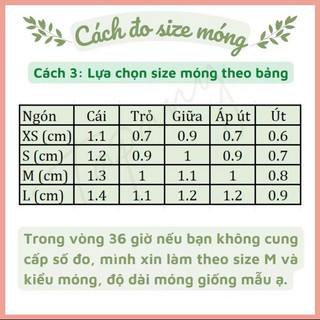 KD30 Nailbox dễ thương Hàn Quốc