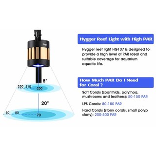 Đèn Rọi Cá Biển Timer Hẹn Giờ HS-F960
