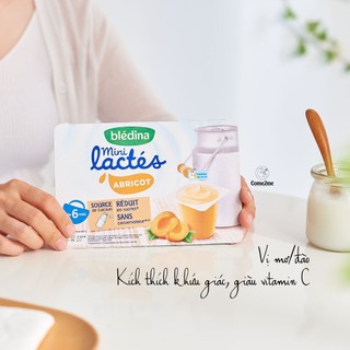 Sữa Chua Bledina Pháp Cho Bé Từ 6m+