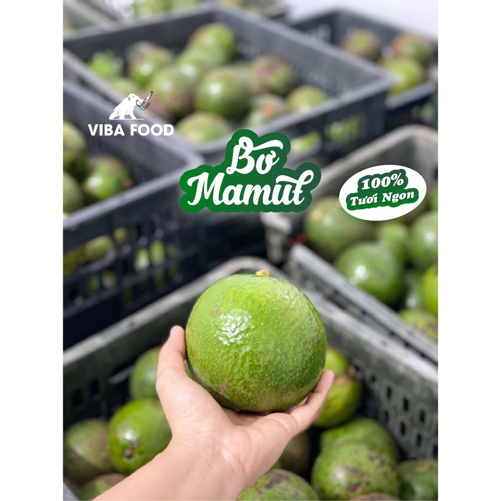 Bơ Mamut cấp đông (Bơ 034, Booth), trái cây đông lạnh, bơ đông lạnh Viba cao cấp [HN giao hàng hỏa tốc] - Ảnh 2