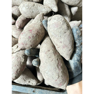 Combo 3kg & 1kg Khoai Lang Tím [Giao Hoả Tốc tại TPHCM & Toàn Quốc ->Đọc Mô Tả]