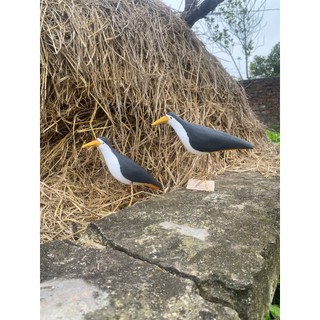 chim quốc mồi giả