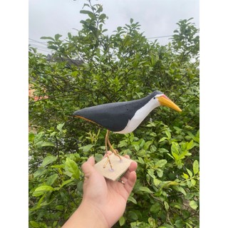 chim quốc mồi giả