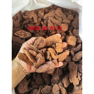 1kg vỏ thông mài cạnh size 3-4cm loại vip