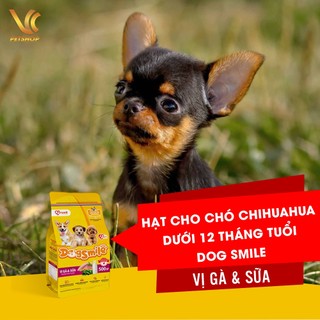Thức Ăn Hạt Cho Chó Chihuahua Con | Hạt Cho Chó Chihuahua Trưởng Thành Dog Smile | VC Pet Shop