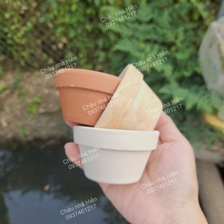 Chậu đất nung - chậu ly thau miệng 7, cao 4