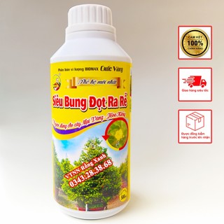 Phân bón cho mai vàng ra rễ cực mạnh bung chồi mập thân vọt đọt xanh dày lá