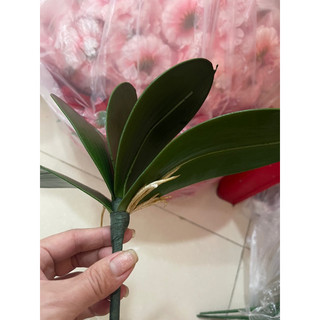 Lá Lan cao su VN( hoa lá trang trí)