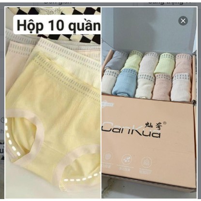 Sale 50%:Quần lót cotton kháng khuẩn Nhật bản mã Cankua size 40-60 kg