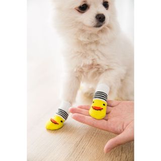 *Hỏa tốc* Set 4 chiếc vớ cotton chống trượt cho thú cưng - Tất cho chó mèo