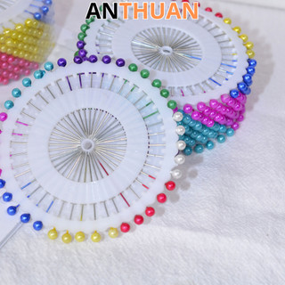 Kim cúc, kim ghim vải vĩ 40 cây