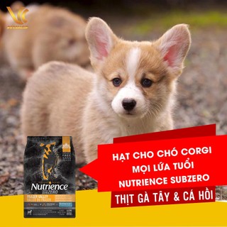 Thức Ăn Hạt Thịt Tươi Cao Cấp Cho Chó Corgi Mọi Lứa Tuổi | Nutrience Subzero Vị Thịt Gà Tây & Cá Hồi | VC Pet Shop
