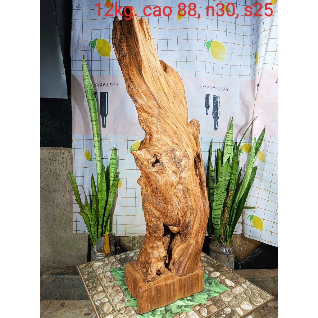 lũa ngọc am đỏ hà giang, hàng sụn già đanh