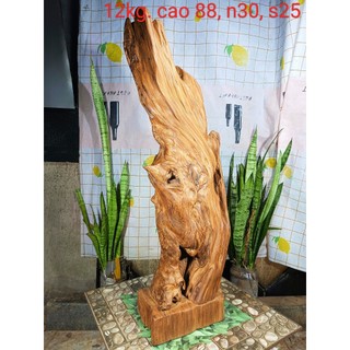 Lũa ngọc am đỏ hà giang, hàng sụn già đanh