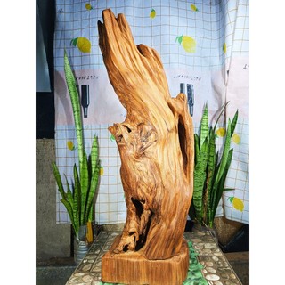 lũa ngọc am đỏ hà giang, hàng sụn già đanh