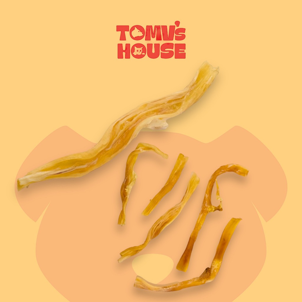Gân đà điểu nhỏ TOMV’s house cho thú cưng