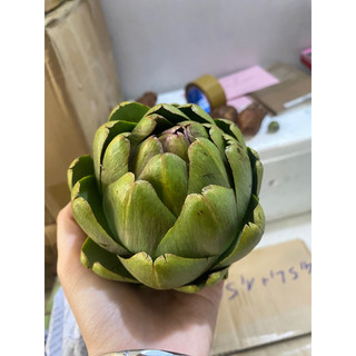 Bông atiso tươi đà lạt - giao hàng toàn quốc, hoả tốc tphcm, bông tươi mỗi ngày