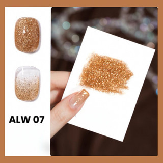 Sơn gel AS cao cấp tone màu nhũ AMJ,ASH, ASL, ASS, AXD, AYX, COE, COS