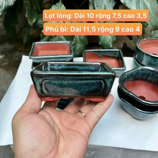 Chậu hoả biến bonsai mini chữ nhật