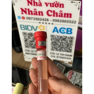 keiki duy đỏ cho hoa lan cây kiểng