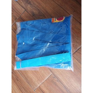 Võ Phục Vovinam, Võ Việt Đạo
